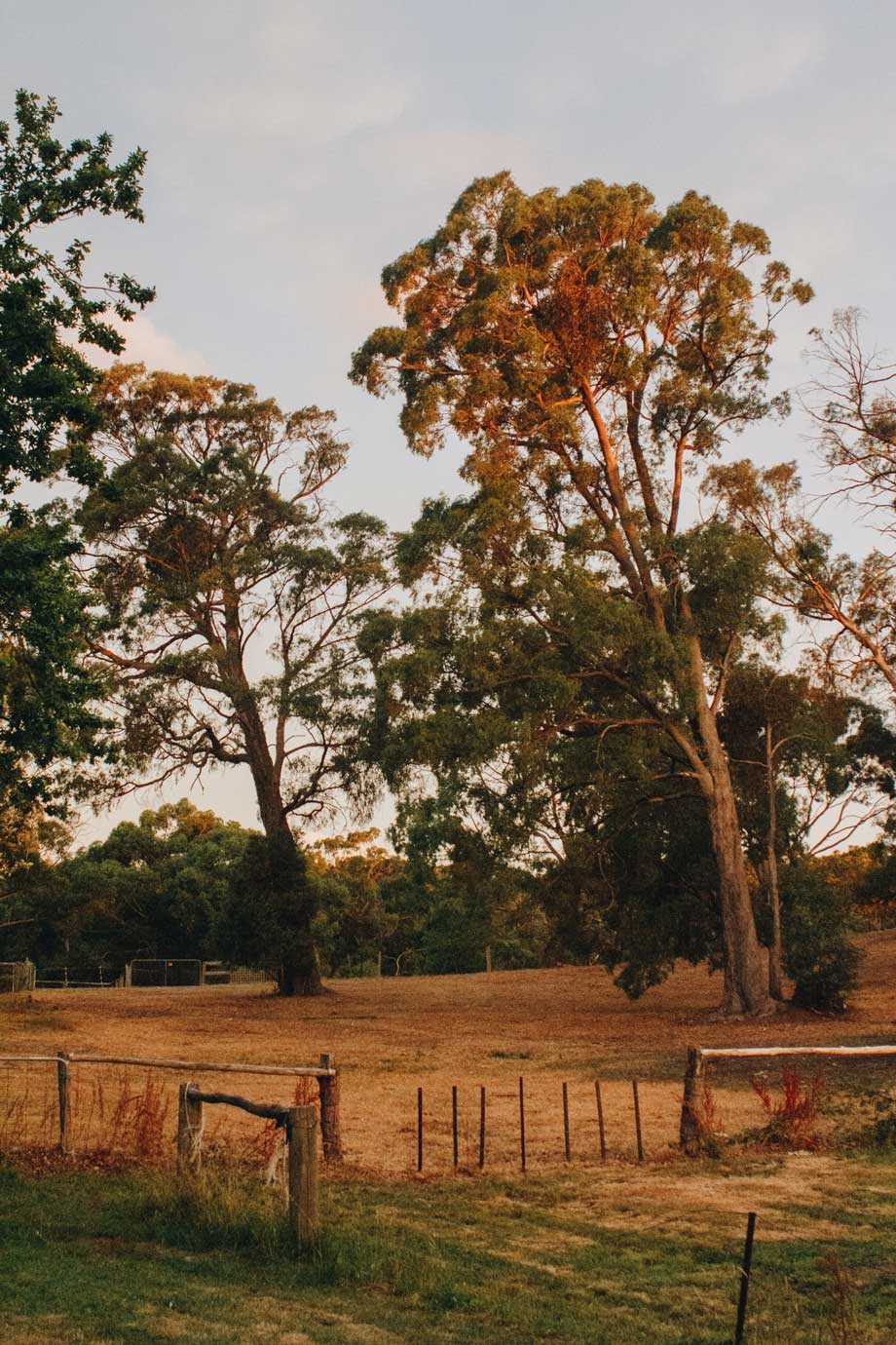 victorian landscape at sunset